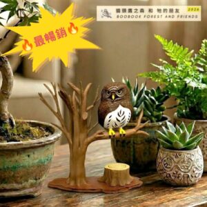 貓頭鷹 場景擺設 - 斑頭鵂鶹 (100% 自家原創設計 / 可發聲)